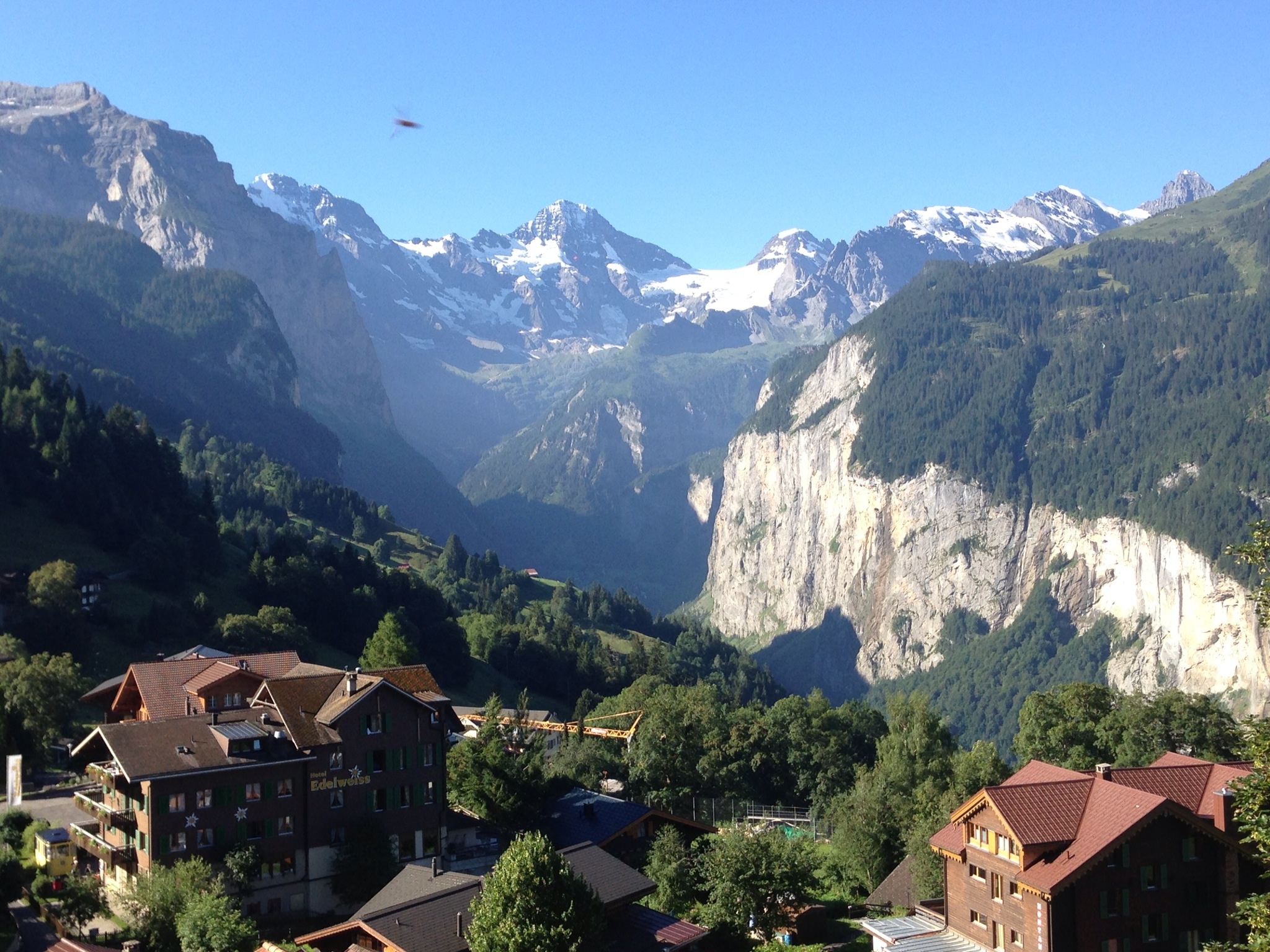 On the train from Wengen down to Lauterbrunnen