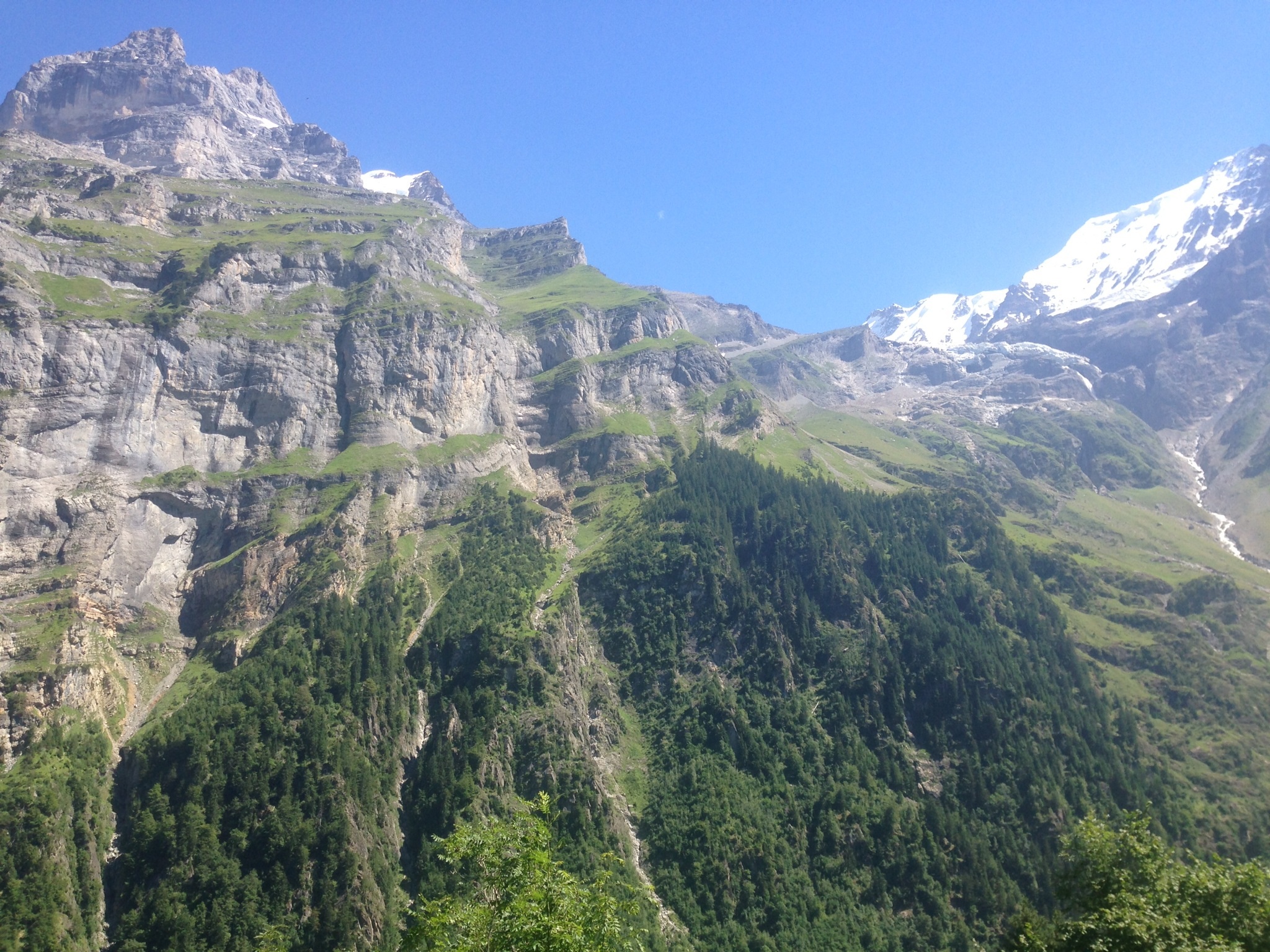 Emerged from the forest to upper Lauterbrunnen valley; this is the far wall of it