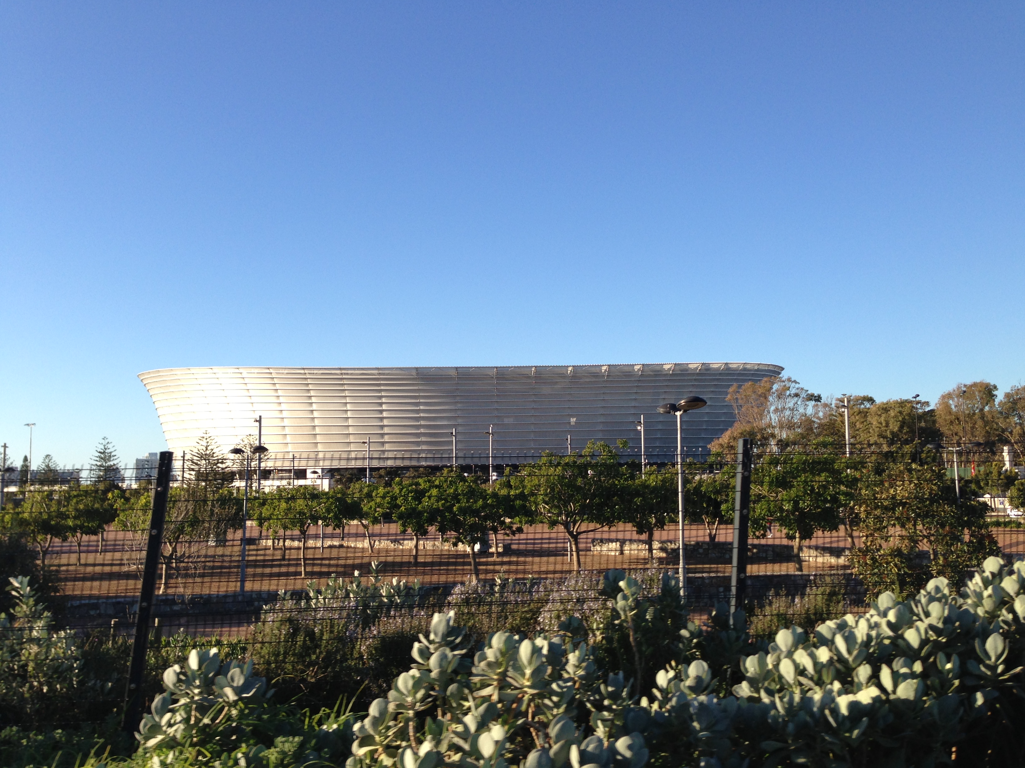 Not for rugby, but Cape Town's Football (soccer) stadium is beautiful!