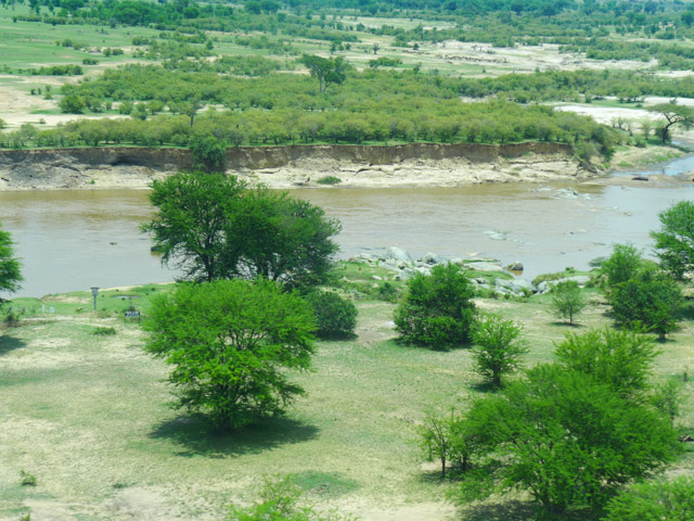 The Mara River is the border between Kenya on the north and Tanzania on the south.  It serves as a difficult obstacle for the migrating Wildebeests and Zebras.