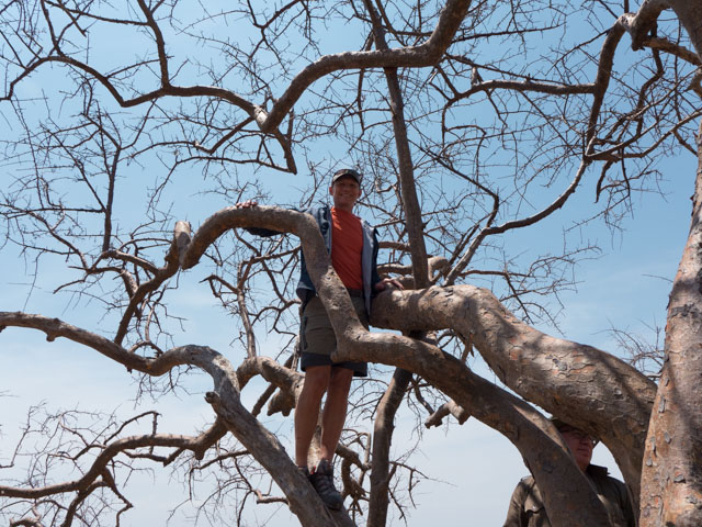 A rare glimpse at the elusive bare-legged tree-climbing homo sapien.
