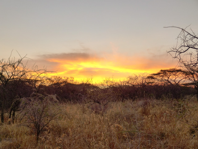Sunset at the Mwiba camp.